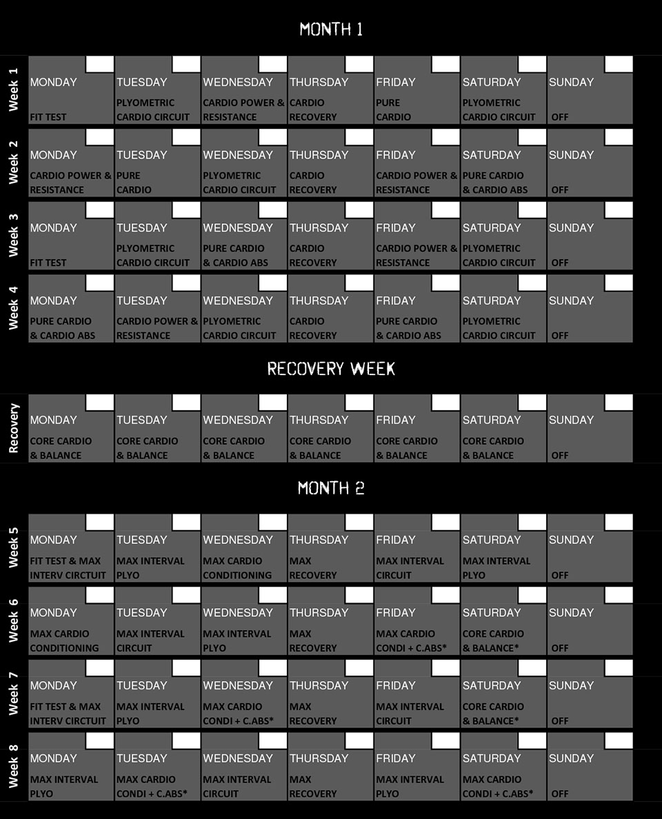 Insanity Tugce