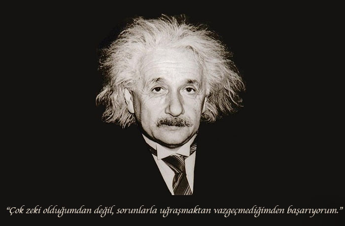 Zeki Einstein
