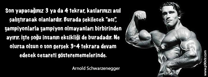 Arnold Soz