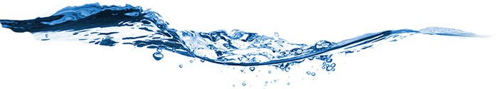 Su Banner